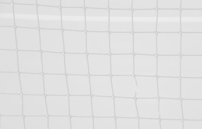 blue net_edited.jpg
