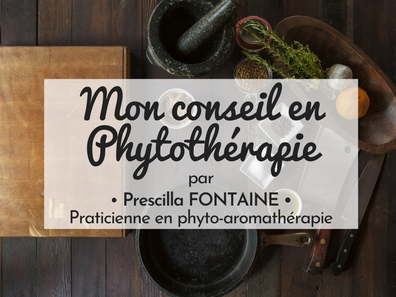 🌿 Faire un grand nettoyage grâce au pissenlit 🌿