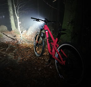 Transalpes Bike in Sämis Veloshop