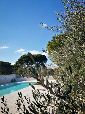 agriturismotorrebianca_esterni_piscina-6