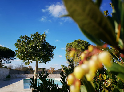 agriturismotorrebianca_esterni_piscina-5