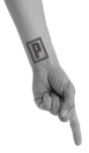 intro-arm.gif