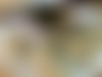 גיוזה הום מייד בשתי טכניקות: מילוי בשרי וטבעוני, מאודה ומטוגן