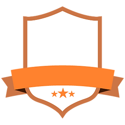 Blank Orange Badge