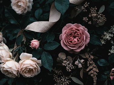 floral lace.png