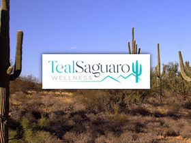 Behind the Rebrand: The Journey from Solo Practice to Teal Saguaro Wellness, Inc