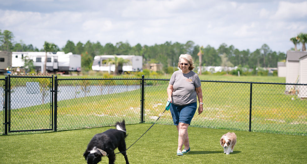 Woman walking two dogs at KeystoneHeightsRV dog park