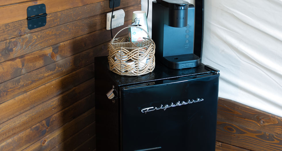 Black mini-fridge, coffee maker, TV