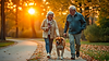 Elderly couple walks dog in park at sunset with golden light