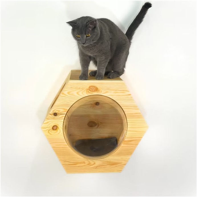 Miniature : chat gris sur Parcours mural - L’Hexagone avec Hublot