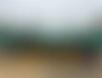 2025年 納会を行いました