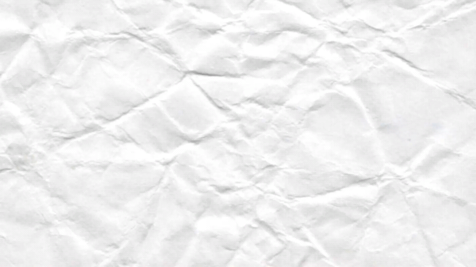 Backyard party video animations, created by me