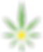 SUNGROWN.png