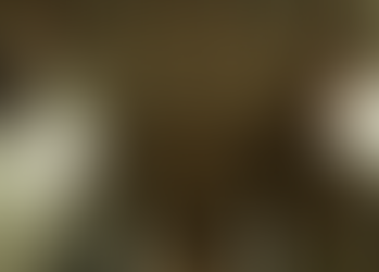 Private Collection #13 - Class 7