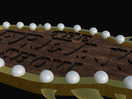 Private Collection #13 - Class 11