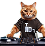 CHAT ROUX TMD 5