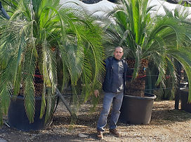 Sélection des meilleures plantes dans nos pépinières partenaires