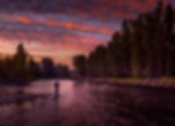 AdobeStock_297212278.jpg