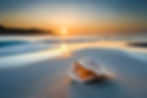 AdobeStock_623411997 - edited.jpg