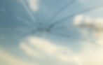 AdobeStock_174470686.jpg