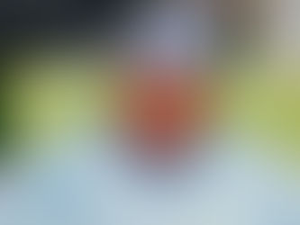 Badaru Resigns as Defence Minister