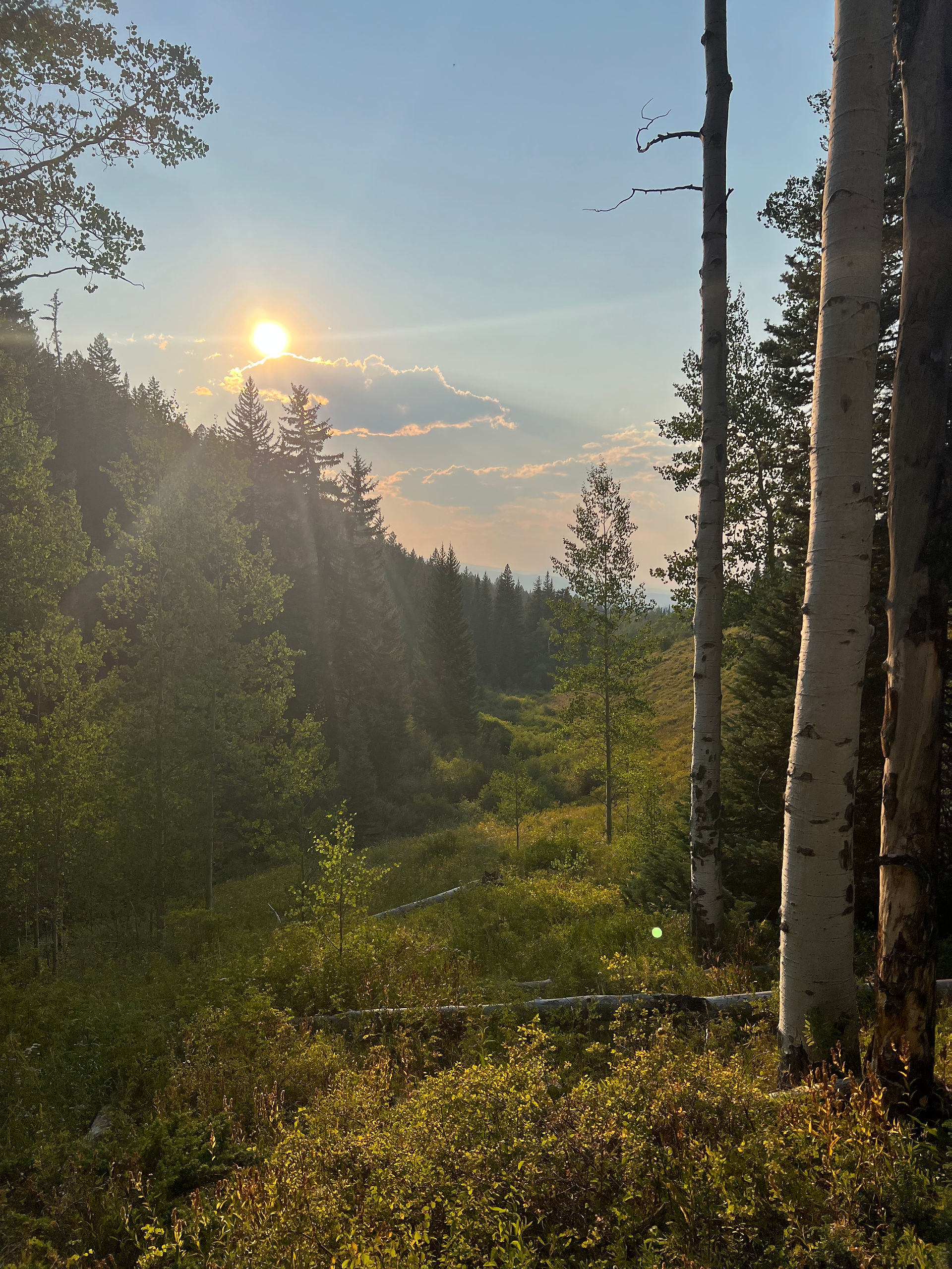 Acorn Creek Silverthorne
