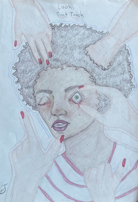 Look Don’t Touch by Briana Johnson (Colorado, 16)
