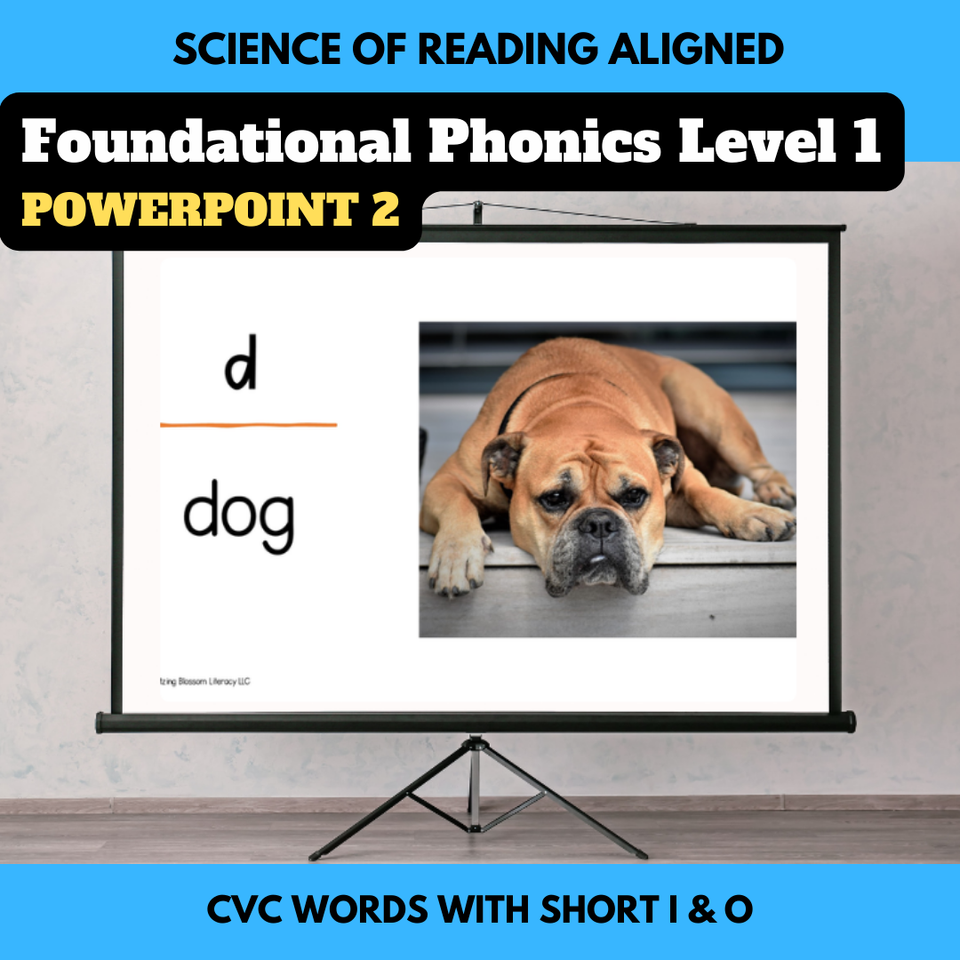 Short i and o with CVC Words Phonics Slides | PowerPoint 2