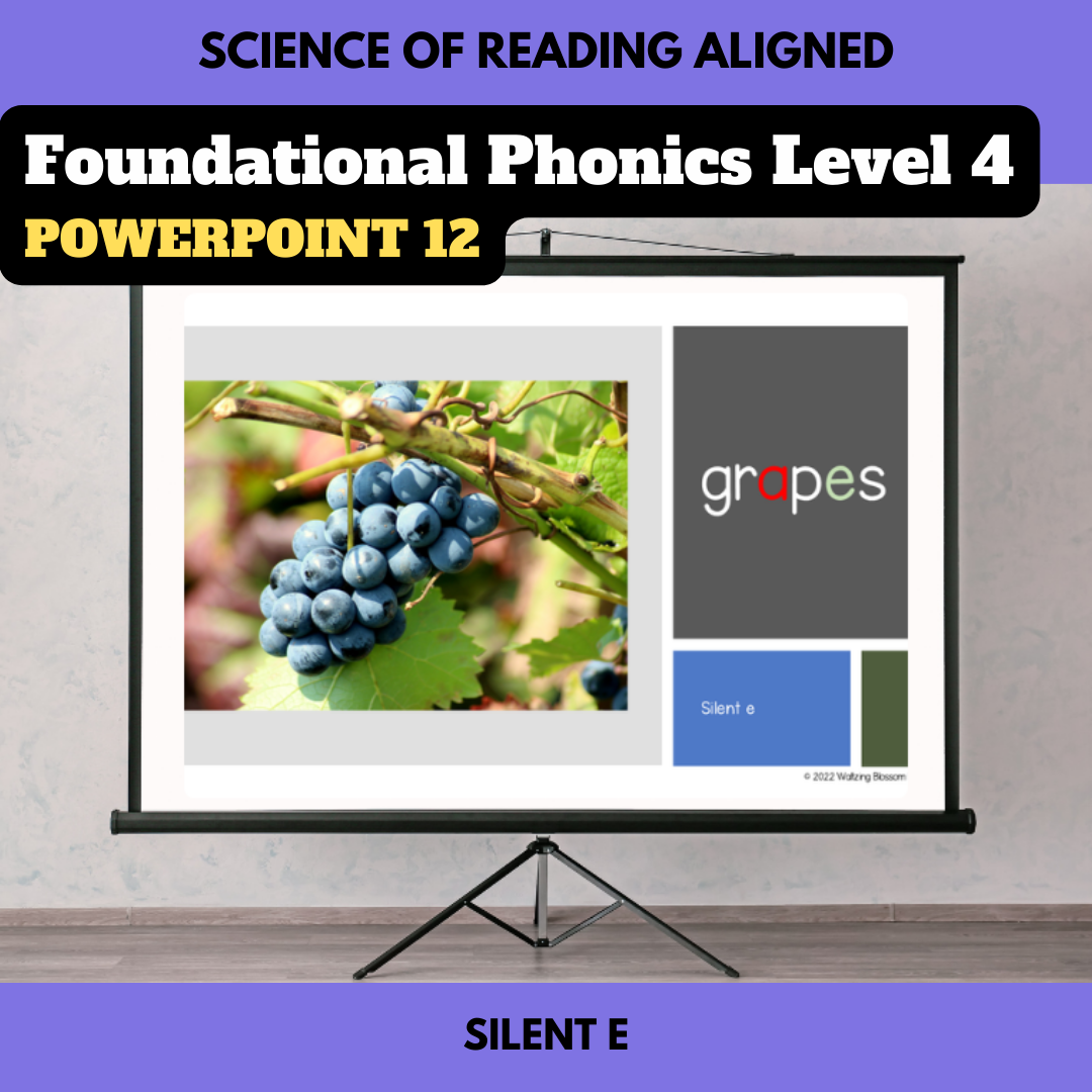 Silent e Phonics Slides | PowerPoint 12