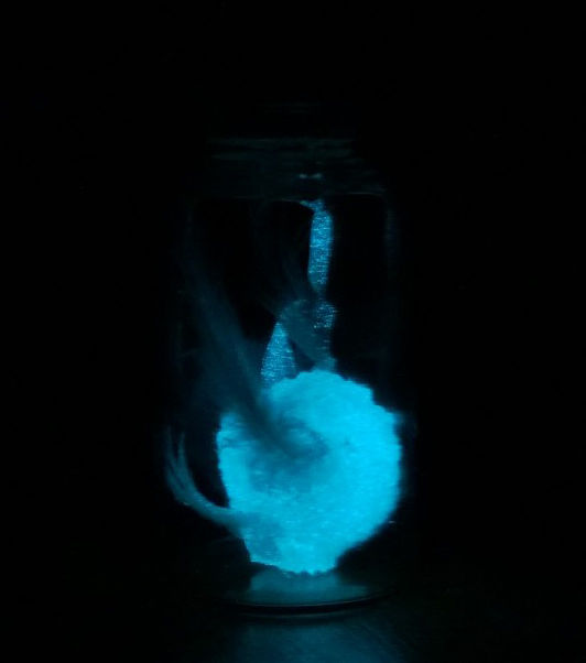 Standard Fairy Necklace Glowing