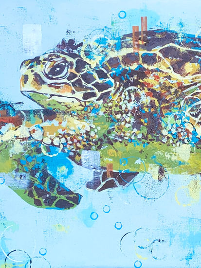 Dude, Turtle, Turtle Art, Ocean Art