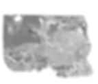 Maxilla Clear Resin