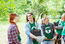 Planting Trees_short.jpg