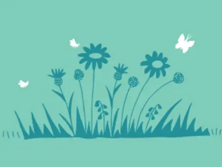 Grow a Wild Patch or Mini Meadow