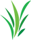 Harleston Greenspace CIC logo