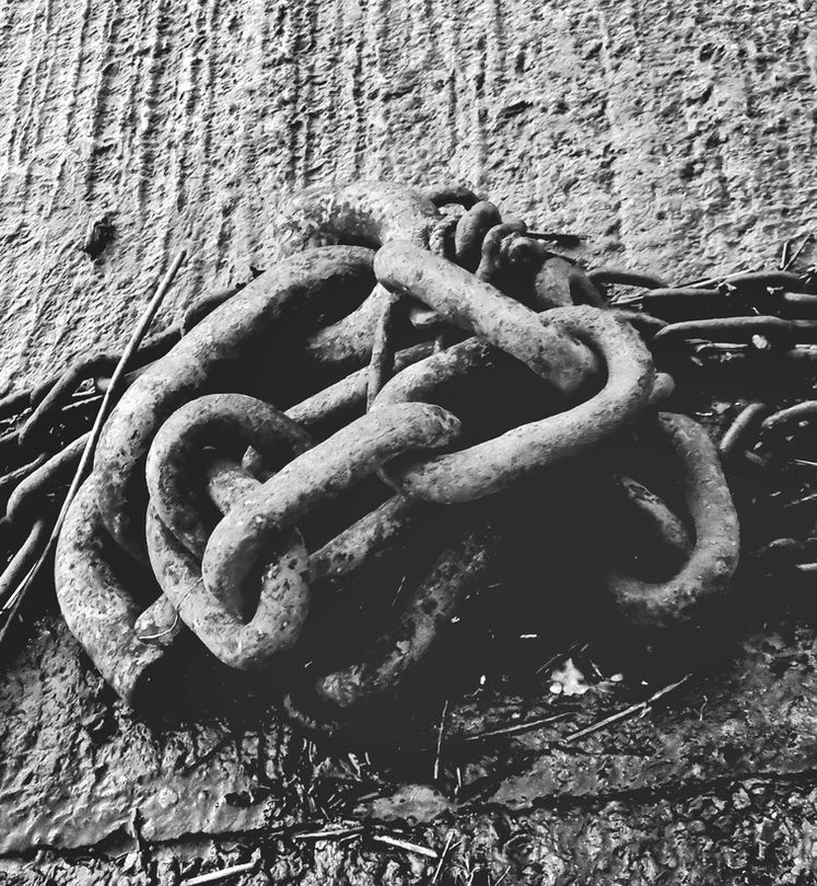 Photographic images for sale