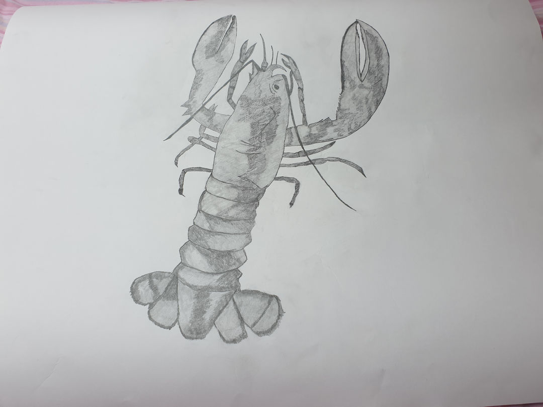 KSAC Kinaesthetic Scores and Consciousness