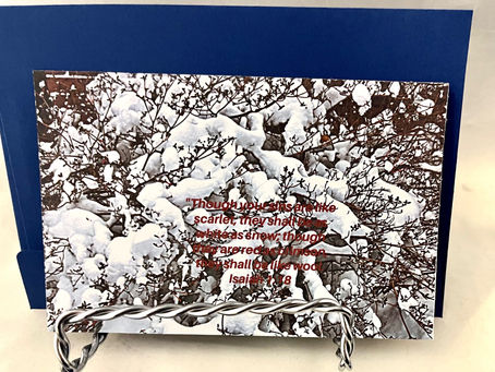 Let's Settle the Matter