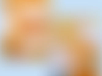 June Digital Journal