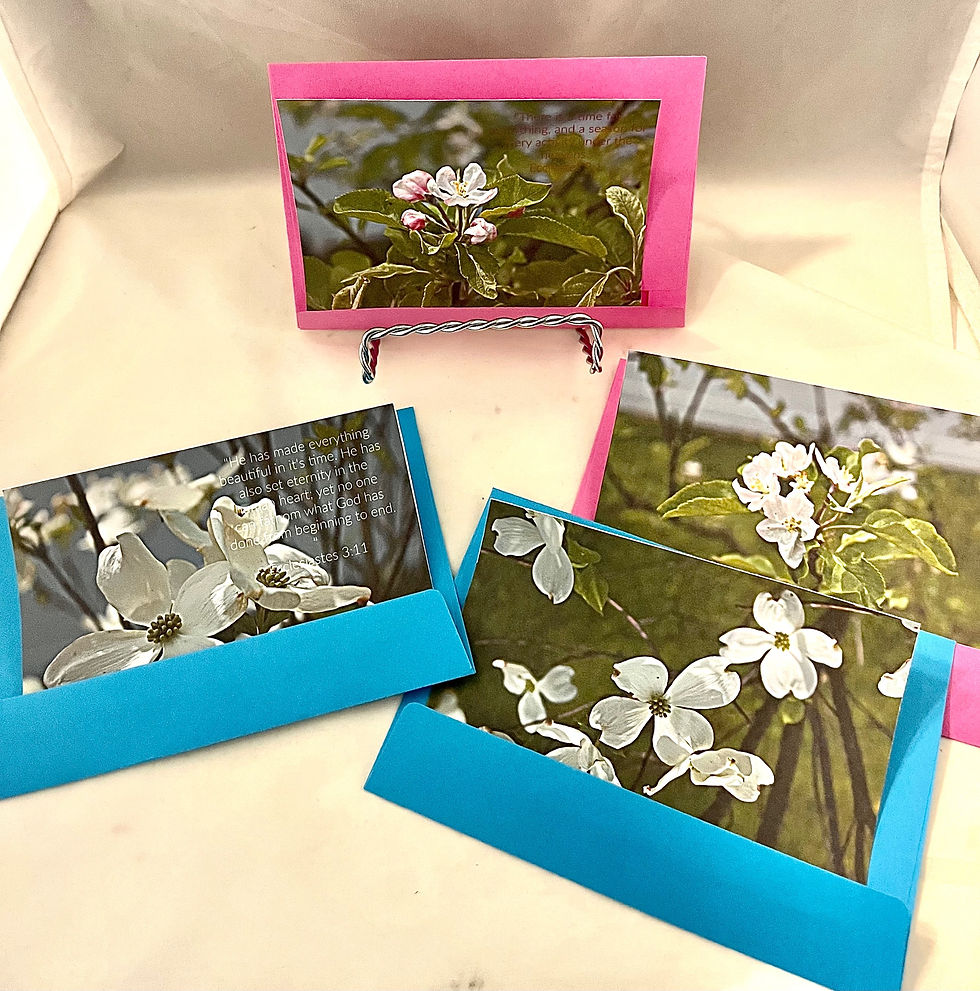 “A Time for Every Season” Scripture Cards