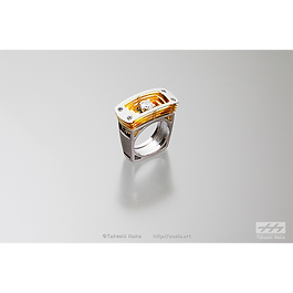 仲剛司 Takeshi Naka Jewelry Exhibition No.11