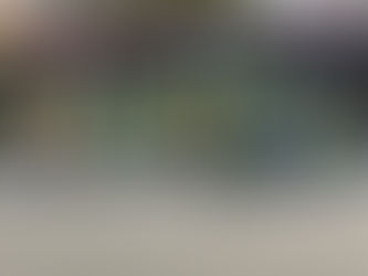 Európsky týždeň mobility