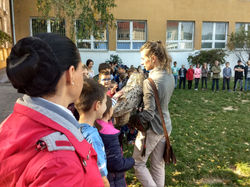 IMG_20181009_142347402_HDR