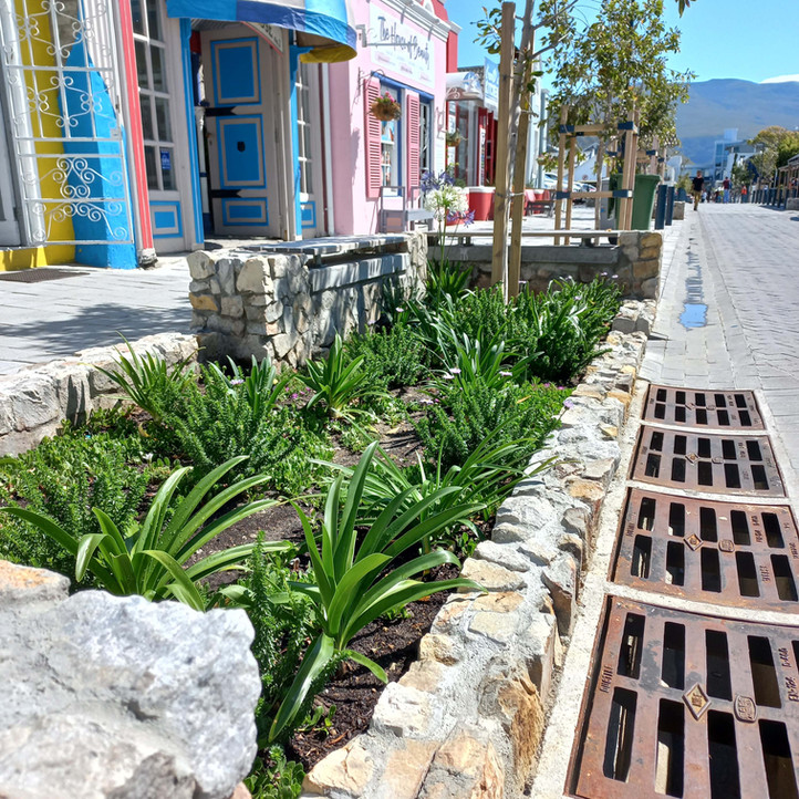 Commercial Landscaping