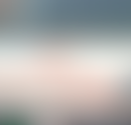 Motociclista fica ferido após ser atingido por boi em Amargosa e encaminhado ao hospital