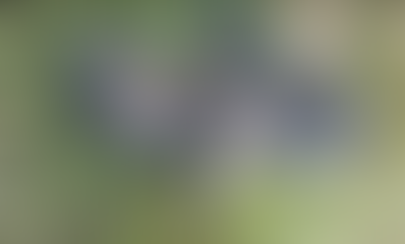 Moto Honda bate com BMW na BR-420 em Mutuípe