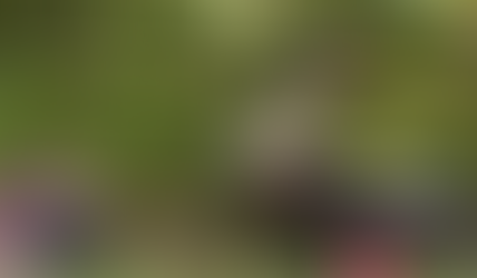 Amargosa: Homem é encontrado morto em área de mata 