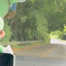 Motorista registra bambuzal quase caindo na BA-026, próximo a Acaju, em Amargosa