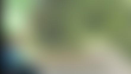 Motorista registra bambuzal quase caindo na BA-026, próximo a Acaju, em Amargosa