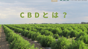 【CBDの知識】
